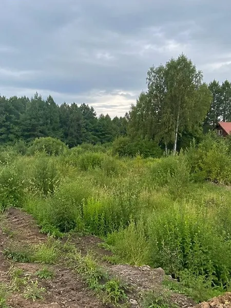 Участок до работ — заросли и неровный грунт